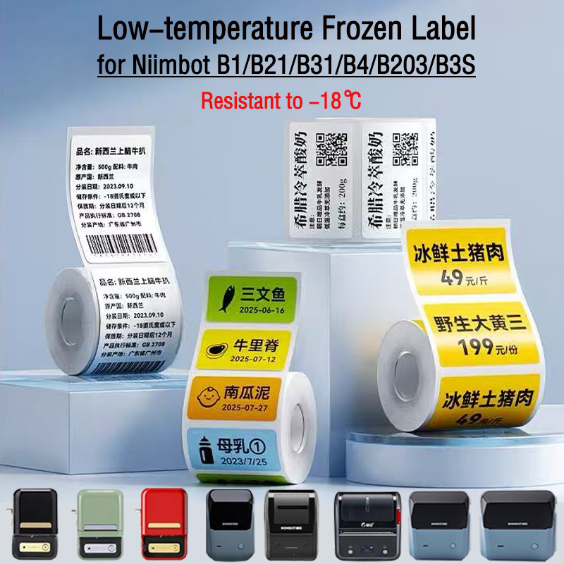 Etichette Adesive NIIMBOT B1/B - Food Storage Labels recensione e prezzo